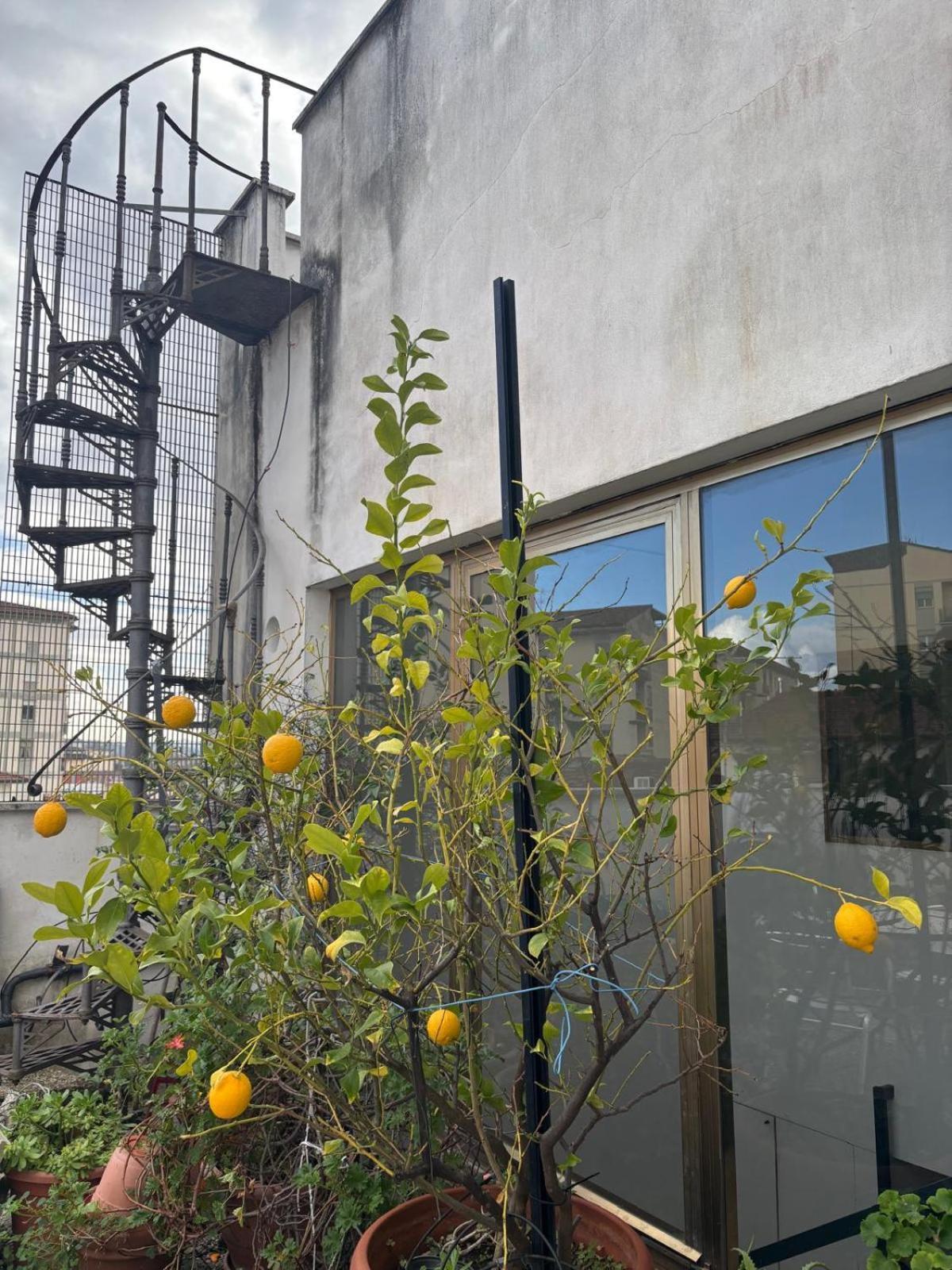 Girasole House Hotel Florence Luaran gambar